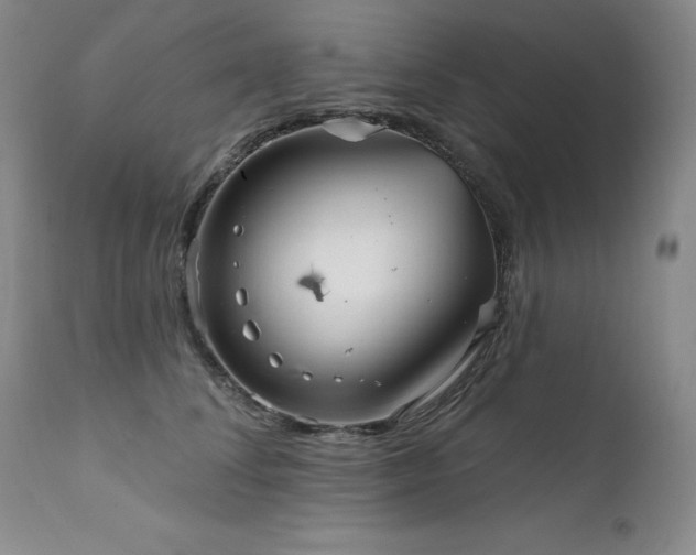 X0000111510708200907141336