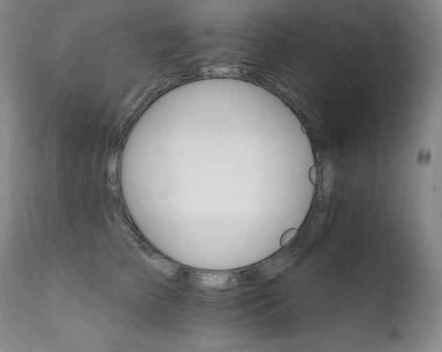 X0000111510709200907141336