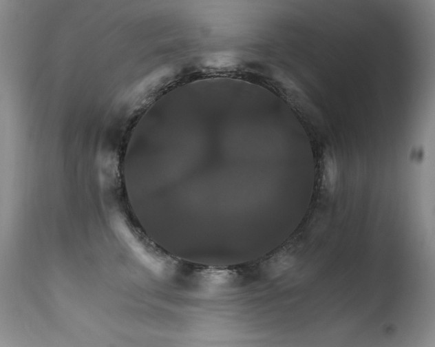 X0000111510711200907141336