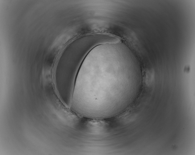 X0000111510712200907141336