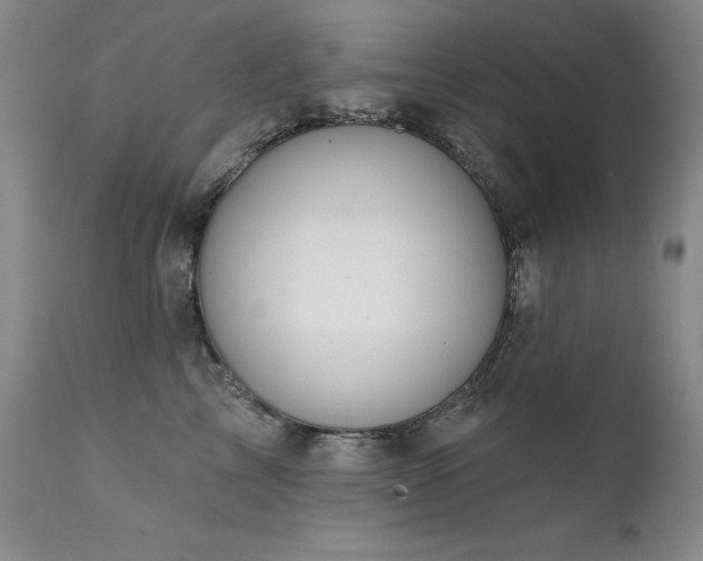 X0000111510713200907141336