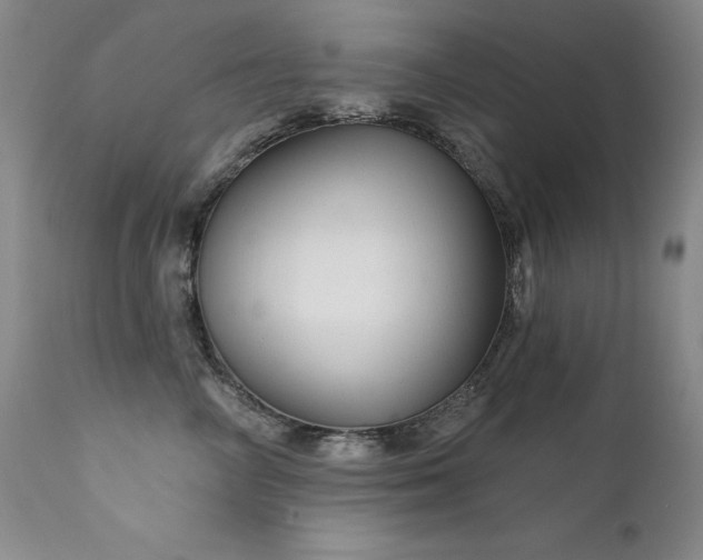 X0000111510714200907141336
