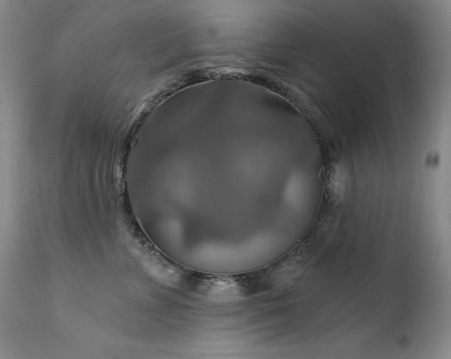 X0000111510715200907141336