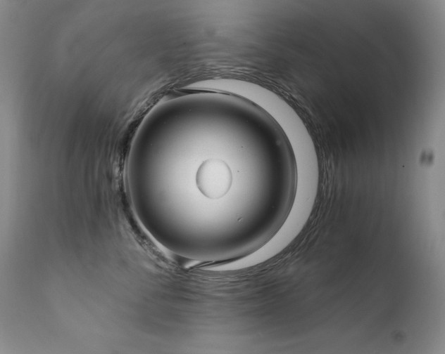 X0000111510716200907141336