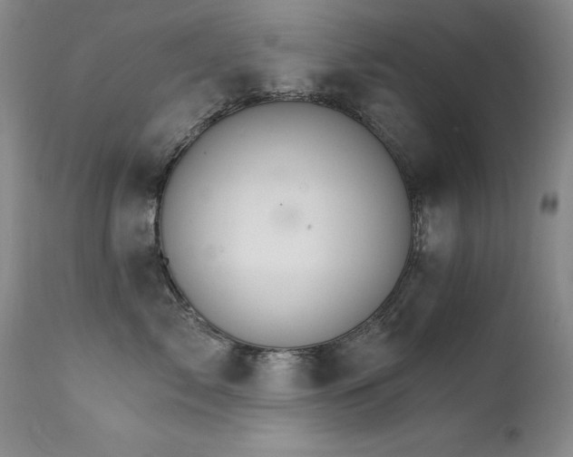 X0000111510717200907141336