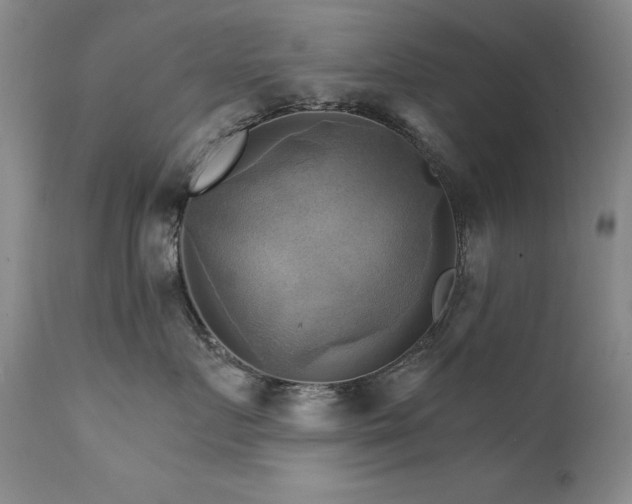 X0000111510719200907141336