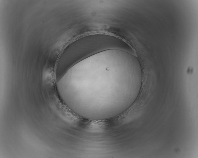 X0000111510720200907141336