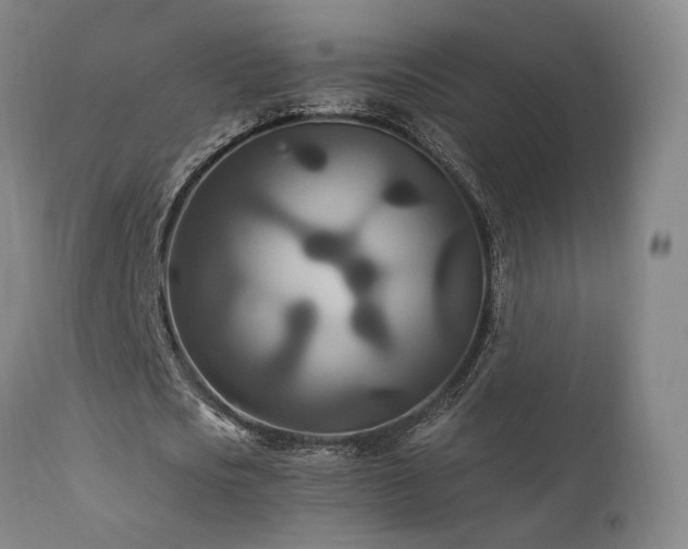 X0000111510721200907141335