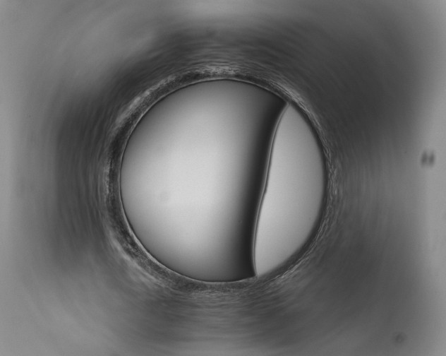 X0000111510722200907141335