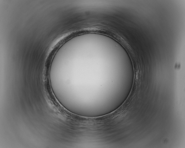 X0000111510724200907141335