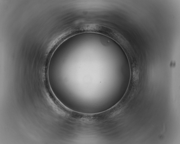 X0000111510725200907141335