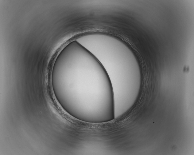 X0000111510726200907141335