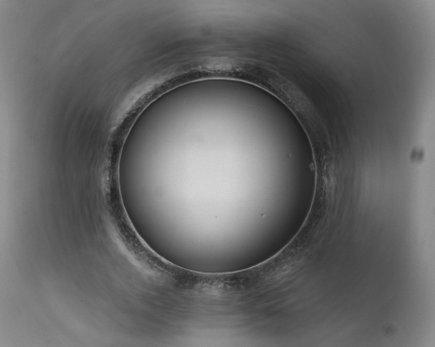 X0000111510728200907141335