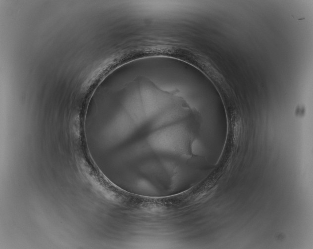 X0000111510729200907141335