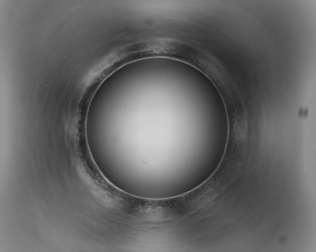 X0000111510730200907141335