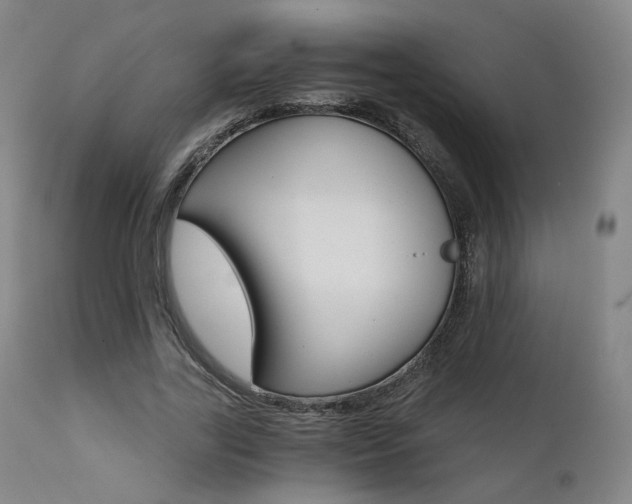 X0000111510731200907141335