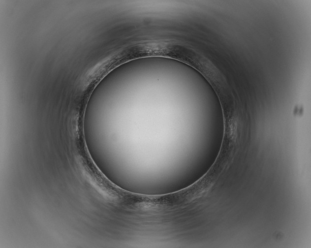 X0000111510733200907141335