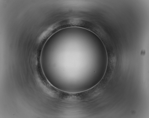 X0000111510734200907141335