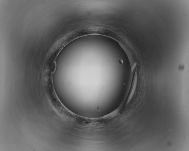 X0000111510736200907141335