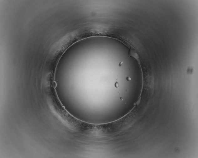 X0000111510738200907141335