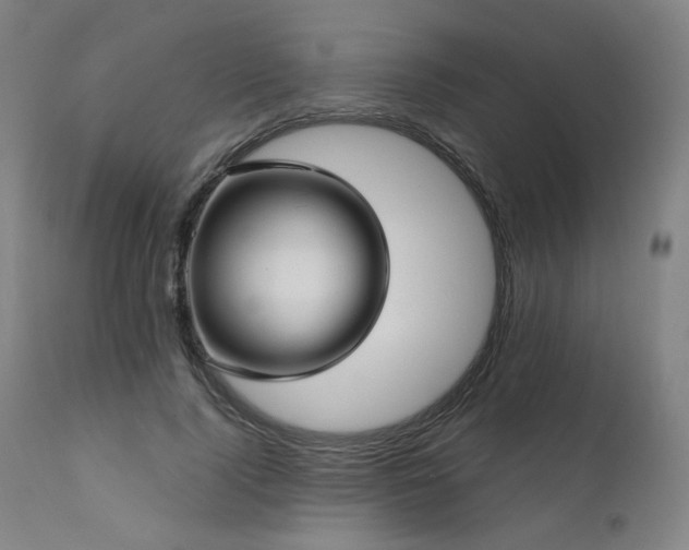 X0000111510740200907141336