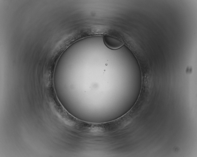 X0000111510741200907141336