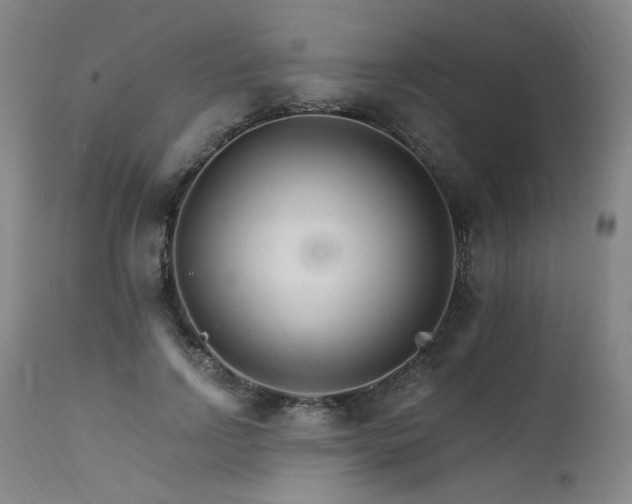 X0000111510742200907141336