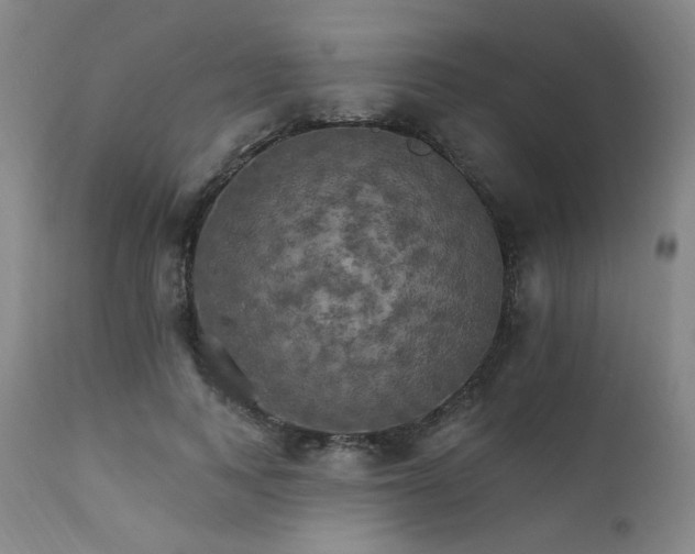 X0000111510743200907141336
