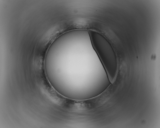 X0000111510744200907141336