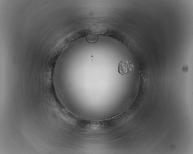 X0000111510745200907141336