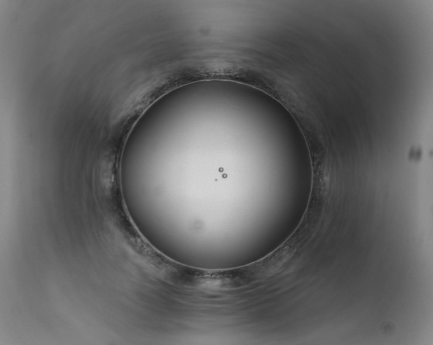 X0000111510746200907141336