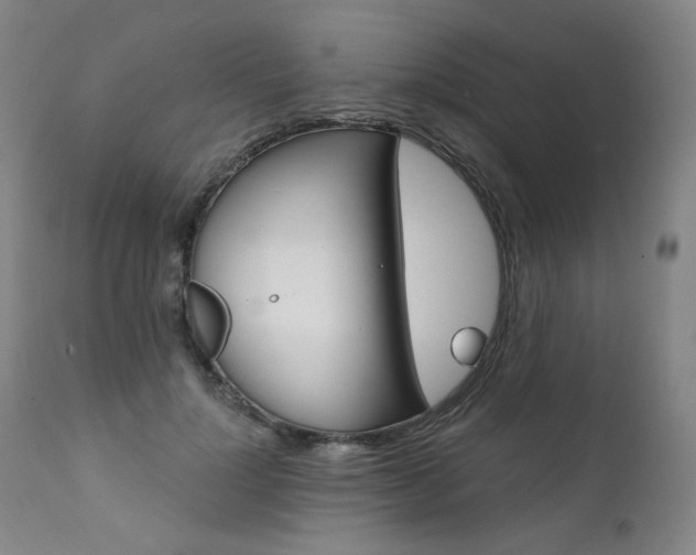 X0000111510748200907141336