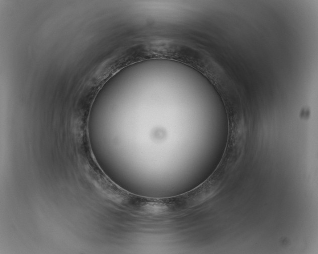 X0000111510749200907141336