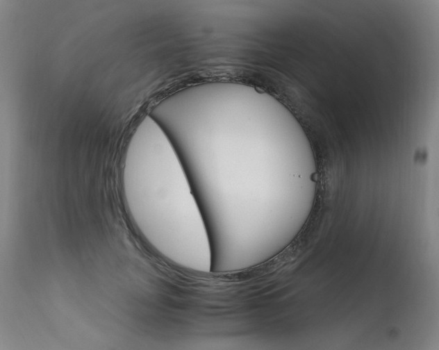 X0000111510751200907141336