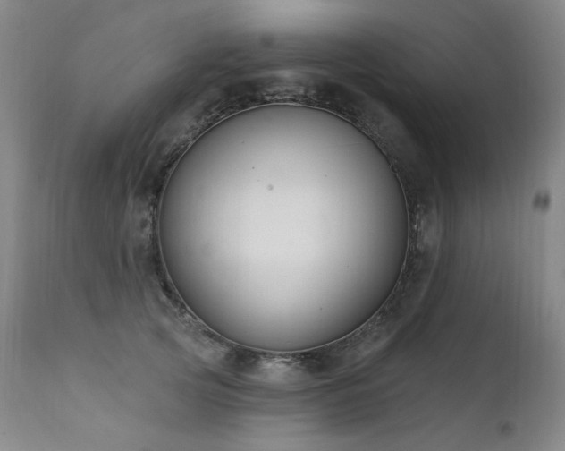 X0000111510753200907141336