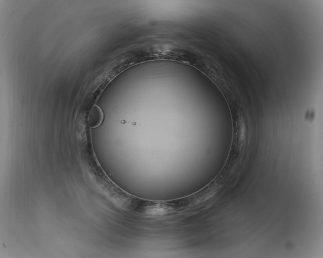 X0000111510754200907141336