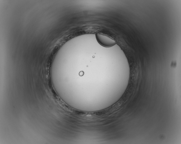 X0000111510755200907141336