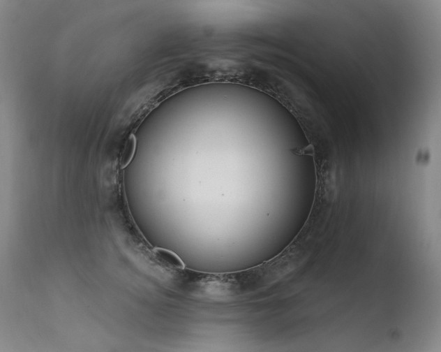 X0000111510756200907141336