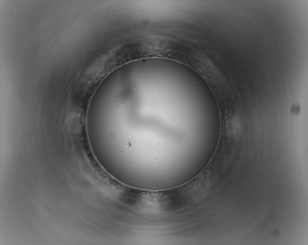 X0000111510757200907141336