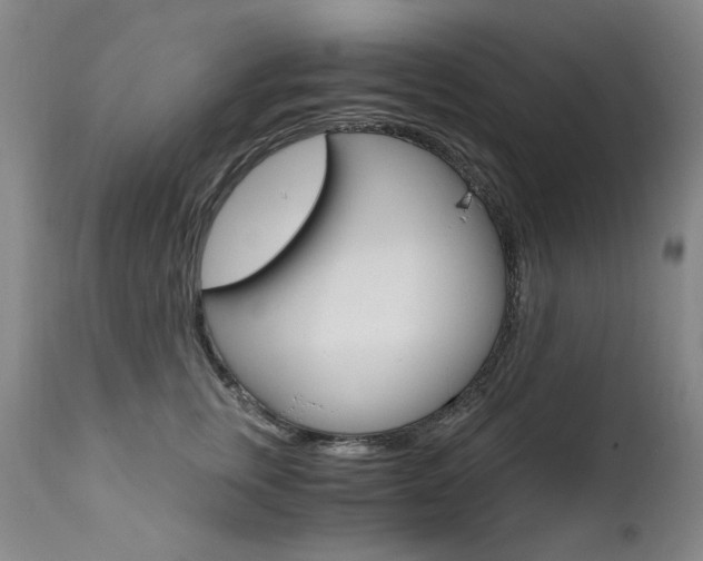 X0000111510759200907141336