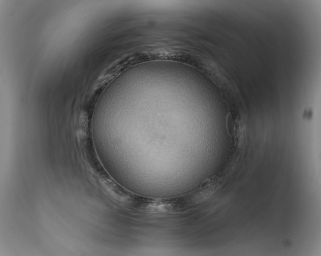 X0000111510760200907141336