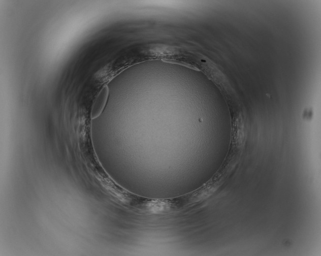 X0000111510762200907141336