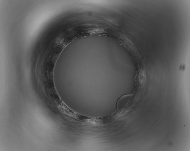 X0000111510763200907141336