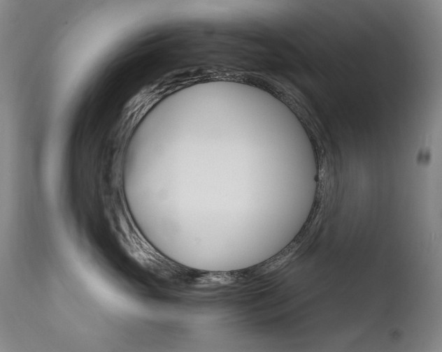 X0000111510765200907141336