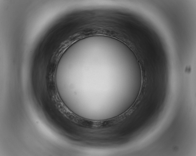 X0000111510766200907141336