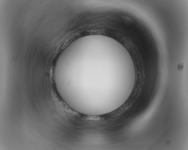 X0000111510767200907141336