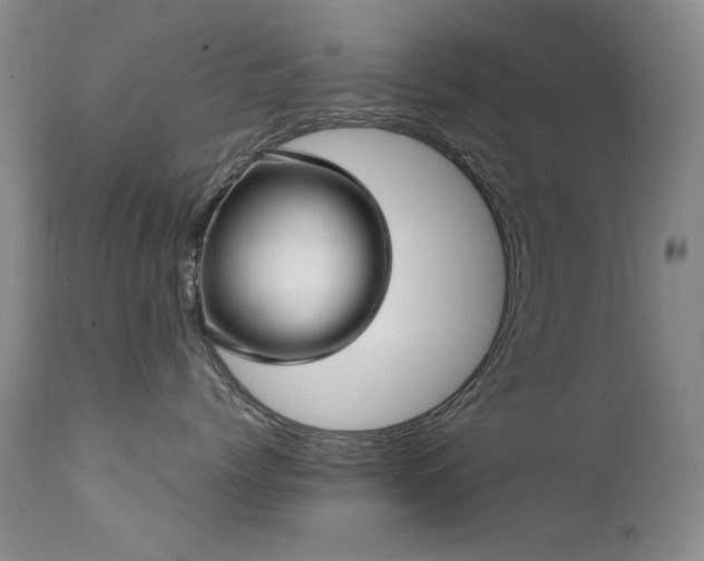 X0000111510768200907141336
