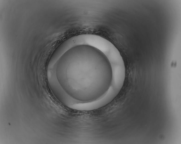 X0000111510769200907141335