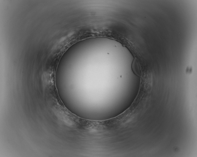 X0000111510770200907141335