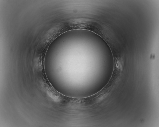 X0000111510771200907141335
